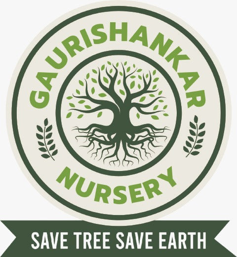 GAURISHANKAR NURSERY